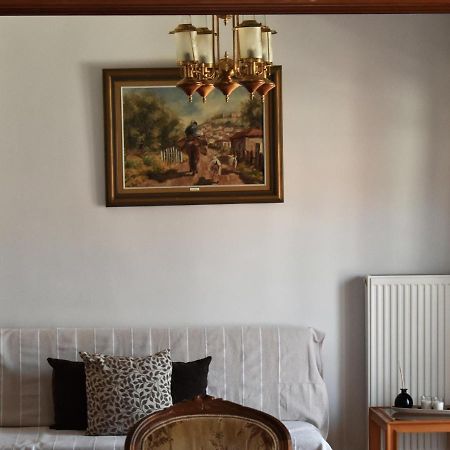 Κεντρικό Και Ευρύχωρο Οροφοδιαμέρισμα Kastoria Zewnętrze zdjęcie