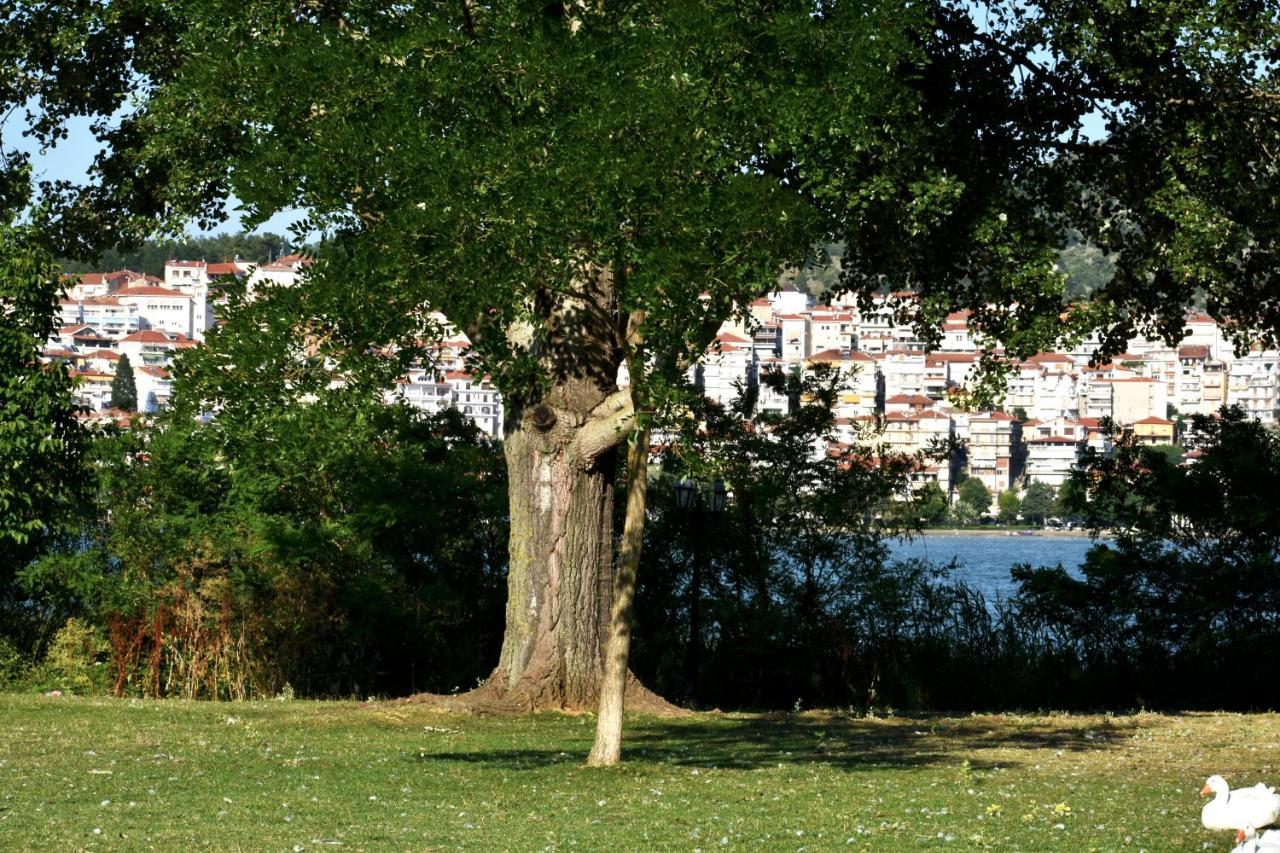 Κεντρικό Και Ευρύχωρο Οροφοδιαμέρισμα Kastoria Zewnętrze zdjęcie